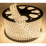 Cata CT-4495 220V Trafosuz 120 Şerit LED Günışığı (Tak Çalıştır - Iç/dış Kullanım) (25 Mt)