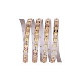 Cata CT-4540 120 Çip Şerit LED 20 Metre - Beyaz - 4000K