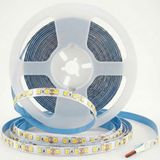 Cata CT-4540B 120 Çipli İç Mekan Şerit LED 10 Watt - Yüksek Lümenli Parlak Beyaz Işık Aydınlatma - 10 METRE BEYAZ