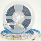 Cata CT-4540B 120 Çipli İç Mekan Şerit LED 10 Watt - Yüksek Lümenli Parlak Beyaz Işık Aydınlatma - 5 METRE BEYAZ
