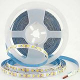 Cata CT-4540G 120 Çipli İç Mekan Şerit LED 10 Watt - Yüksek Lümenli Parlak Günışığı Aydınlatma - 5 METRE GÜNIŞIĞI