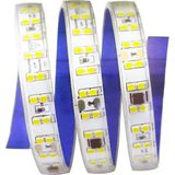 Cata CT-4595 220V Şerit LED 240 LED 1 Metre Silikonlu Yapışkanlı IP65 Beyaz Işık Iç/dışmekan