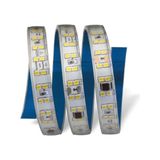 Cata CT-4595 220V Trafosuz Şerit LED 240LED Beyaz (Tak Çalıştır - Iç/dış Kullanım) (25 Mt)