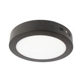 Cata CT-5238G Gün Işığı Siyah Kasa 30 W Sıva Üstü Yuvarlak Led Panel