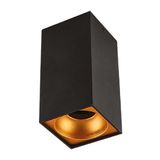 Cata CT-5417 Bergama Siyah Gold Kasa Sıva Üstü Spot