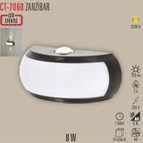 Cata CT-7068 Zanzibar Günışığı Renk Dış Mekan 8W Led Aplik