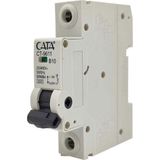 Cata Ct 9611 10 Amper Sigorta B Tipi Monofaze 4 5 Ka