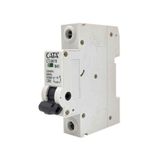 Cata CT-9616 40 Amper Sigorta (B Tipi / Monofaze / 4.5 Ka)