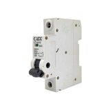 Cata CT-9616 40A B Tipi Otomatik Sigorta
