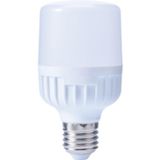 CATA Ct4242 40 Watt LED Ampul, Gün Işığı Işık Çeşidi
