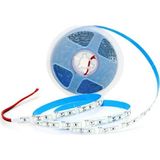 Cata Iç Mekan Şerit LED 5 Metre Beyaz Işık Esnek LED Bant Aydınlatma CT-4481