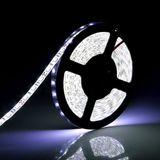 Cata Led şerit 5 metre 2835 DC 12V 6500K Beyaz ışık 60Led/m IP65 dış mekan uygun aydınlatma hortum Kendinden yapışkanlı - Soğuk Beyaz