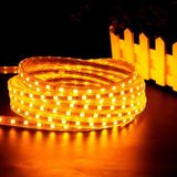 Cata Metrelik Hortum LED Amber Turuncu 220 Volt Hortum LED Tak Çalıştır Şerit LED Yüksek Işık Su Geçirmez - 3 m - Amber - Turuncu