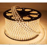 Cata Şerit LED Hortum 3 Çip Dış Mekan LED Gün Işığı Renk 6m + Fiş CT-4553