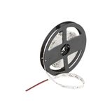 Cata Şerit Led Iç Mekan 10 Çip Gün Işığı / 5 Metre Ct 4481