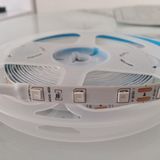 Cata Yeşil Şerit LED - 20 m