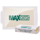Catchmaster Max-Catch Fare ve Böcek Tutkal Tuzağı 36 Paket, Ev için Fare Kapanı İç Mekan, Böcekleri, Sıçanları ve Kemirgenleri Yakalamak için Yapışkan Tepsi, Toksik Olmayan Dökme Kokusuz Tutkal