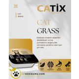 Catix CATİX %100 Doğal Kedi Çimi File HEDİYELİ (Tüy Yumağı Önleyici)