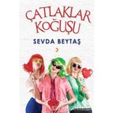Çatlaklar Koğuşu - Sevda Beytaş