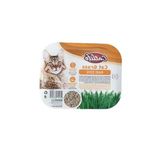 Catlife Kedi Çimi, Tüy Yumağı Önleyici, Sindirim Destekleyici, Doğal Kedi Otu