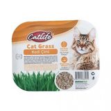 Catlife Tuy Yumagi Onleyici Sindirim Destekleyici Kedi Cimi Fileli Kedi Otu Tohumu Paket