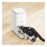 Catlink Fo4 Std Akıllı Otomatik Mama Kabı - 4 Lt Kapasiteli, Uygulama Destekli Besleme Sistemi