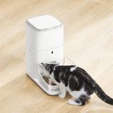 CATLINK FO4 STD Otomatik Kedi Mama Kabı 4lt