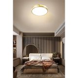 CATLUZ Gold Şerit Akrilikli Kumandalı Dimli 3 Işık Renkli 50cm Led Tavan Lambası, Modern Aydınlatma