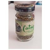 catnip Catnip Kedi Çimi Nanesi