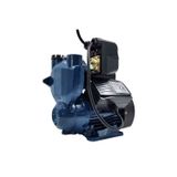CATPOWER HİDROFOR 800W