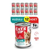 Cats Up Yaş Yetişkin Kedi Maması Kuzu Etli 415GR 12LI