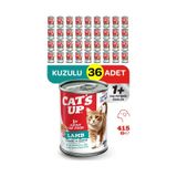 Cats Up Yaş Yetişkin Kedi Maması Kuzu Etli 415GR 36LI