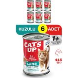 Cats Up Yaş Yetişkin Kedi Maması Kuzu Etli 415GR 6lı