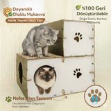 CATSSLE Kedi Oyun Evi ve Tüneli Modüler 2 Katlı Karton