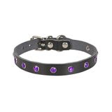 Cattie Taşlı Deri L 1.2x25-29 cm Siyah Kedi Boyun Tasması
