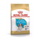 Cavalier King Charles Junior 1,5 kg Yavru Kopek Maması