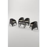 Çavdar Group Olivia 4 Kişilik Minderli Raddan Oturma Grubu 40x60 Sehpalı Balkon Teras Bahçe Takımı
