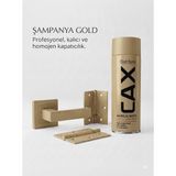 CAXCOLORS Cax Akrilik Sprey Boya - Kapı Kolları ve Menteşeler Için Özel Renk Hızlı Kuruyan Akrilik Sprey Boya - Şampanya Gold
