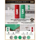 CAXCOLORS Cax Akrilik Sprey Boya ve Vernik Seti 400 ml - Metal Ahşap Plastik Için Çiftli Kaplama Koruma - RAL 6029 (Nane Yeşili)
