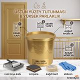 CAXCOLORS Cax Colors Parlak Boya 1 L - Panel Kapı, Demir ve Ahşap Boyası (Yüksek Tutunma & Üstün Parlaklık) 5'li Hediye Set - Altın