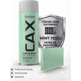 CAXCOLORS Cax Isıya Dayanıklı Petek ve Radyatör Akrilik Sprey Boya 400ML - Hızlı Kuruyan Sararmaz - Mint Yeşili