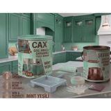 CAXCOLORS Cax Özel Amaçlı Dayanıklı Yüzey Boyası ve Şeffaf Sıvı Cam Vernik Seti + Uygulama Seti - Mint Yeşili