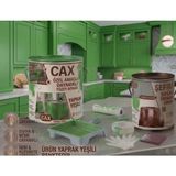 CAXCOLORS Cax Özel Amaçlı Dayanıklı Yüzey Boyası ve Şeffaf Sıvı Cam Vernik Seti + Uygulama Seti - Yaprak Yeşili