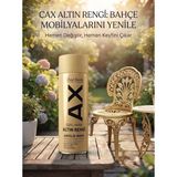 CAXCOLORS Cax Rengi Akrilik Sprey Boya 400ML - Ahşap Bahçe Mobilyası ve Hobi Boyası - Altın