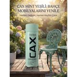 CAXCOLORS Cax Rengi Akrilik Sprey Boya 400ML - Ahşap Bahçe Mobilyası ve Hobi Boyası - Mint Yeşili