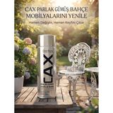 CAXCOLORS Cax Rengi Akrilik Sprey Boya 400ML - Ahşap Bahçe Mobilyası ve Hobi Boyası - Parlak Gümüş