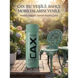 CAXCOLORS Cax Rengi Akrilik Sprey Boya 400ML - Ahşap Bahçe Mobilyası ve Hobi Boyası - Su Yeşili