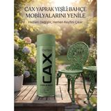 CAXCOLORS Cax Rengi Akrilik Sprey Boya 400ML - Ahşap Bahçe Mobilyası ve Hobi Boyası - Yaprak Yeşili