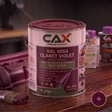 CAXCOLORS Isıya ve Sıvıya Dayanıklı Koruyucu Boya - 1 Litre - Yüksek Performanslı Yüzey Kaplama - 4004