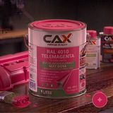 CAXCOLORS Isıya ve Sıvıya Dayanıklı Koruyucu Boya - 1 Litre - Yüksek Performanslı Yüzey Kaplama - 4010